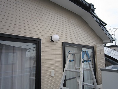 IMG_9141.jpg
