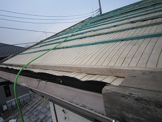 s-IMG_5119.jpg