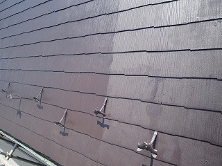 s-IMG_0932.jpg