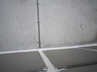 IMG_3609.jpg