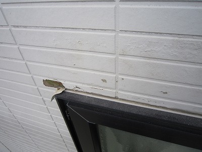 IMG_8240.jpg
