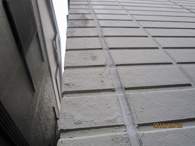 IMG_7119.jpg