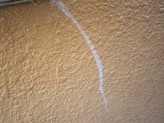 s-IMG_7557.jpg