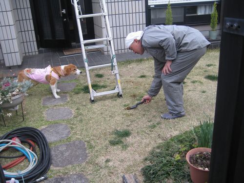 005 ふん.jpg