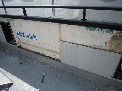 IMG_8581.jpg